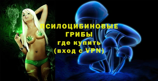 прущие грибы Струнино